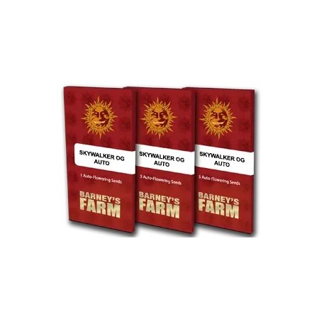 Skywalker OG | Autoflower | Barney's Farm Seeds