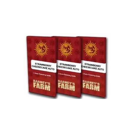 Strawberry Cheesecake | Autoflower | Barney's Farm Seeds