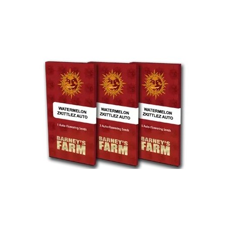 Watermelon Zkittlez | Autoflower | Barney's Farm Seeds