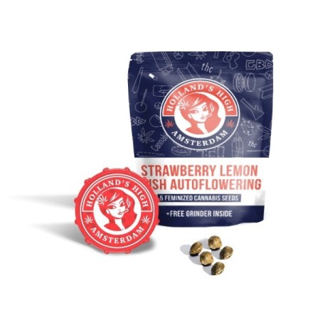 Strawberry Lemon Kush | Autoflower | Hollands High Seeds