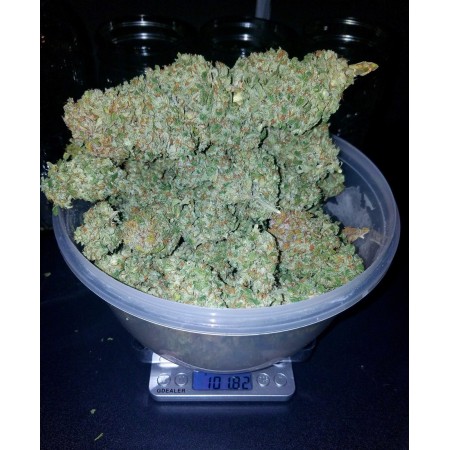 Stardawg | Autoflower | Fast Buds Seeds