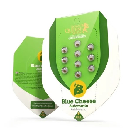 Blue Cheese |  Autoflowering | Royal Queen Seeds