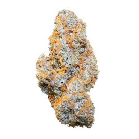 Apple Fritter | Autoflowering | Royal Queen Seeds