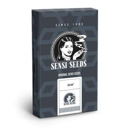 Big Bud | Autoflower | Sensi Seeds
