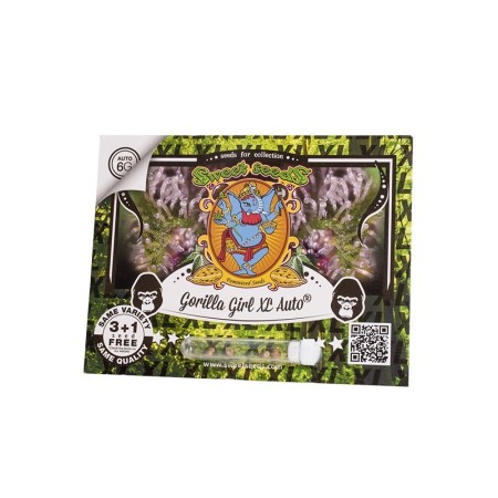 Gorilla Girl XL | Autoflower | Sweet Seeds