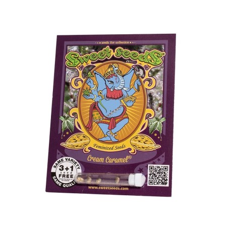 Cream Caramel | Feminized | Sweet Seeds