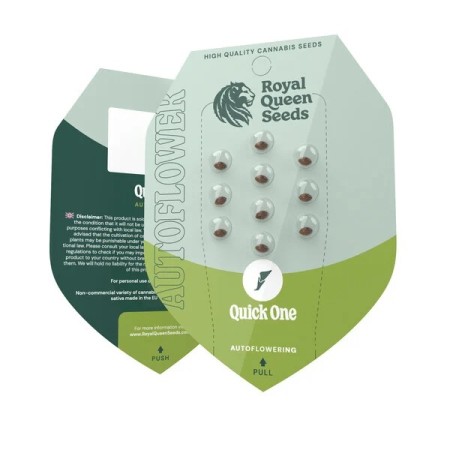 Quick One |  Autoflowering | Royal Queen Seeds