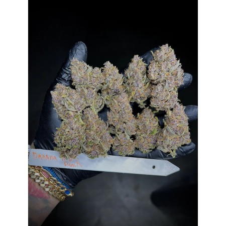 Banana Purple Punch | Autoflower | Fast Buds Seeds