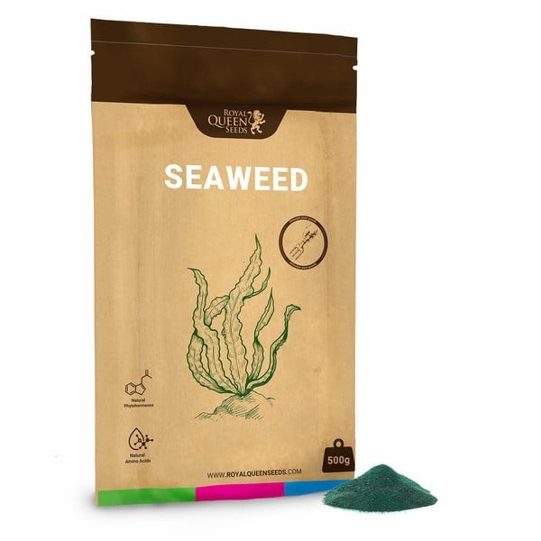 Royal Queen Seeds Zeewier