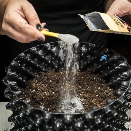 Easy Roots Rhizobacter | Royal Queen Seeds