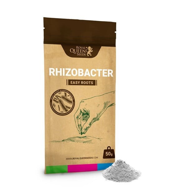 Royal Queen Seeds Easy Roots Rhizobacter