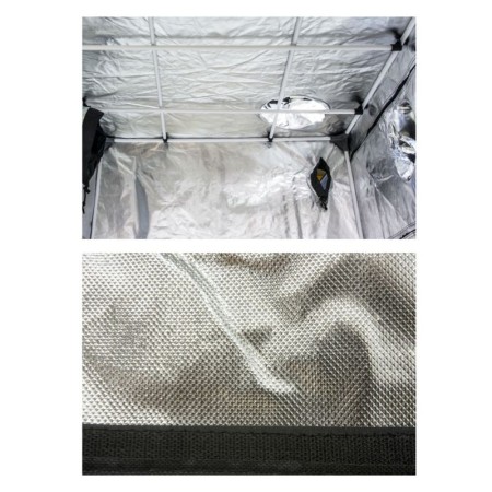 Dr. Green Kweektent | Diverse Afmetingen