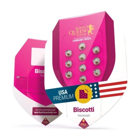 Biscotti | Feminized  | Royal Queen Seeds