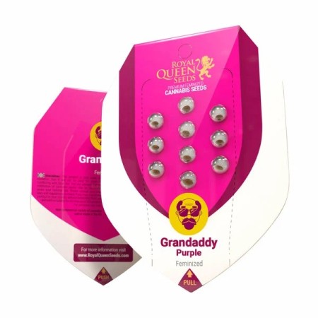 Granddaddy Purple | Feminized  | Royal Queen Seeds