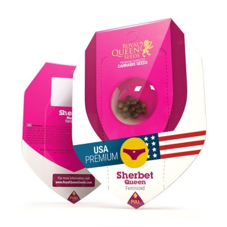 Sherbet Queen | Feminized  | Royal Queen Seeds