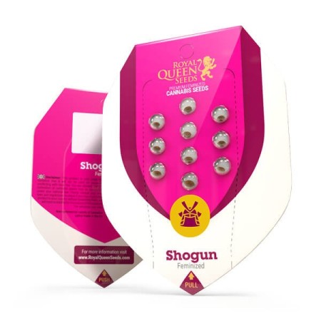 Shogun | Feminized  | Royal Queen Seeds