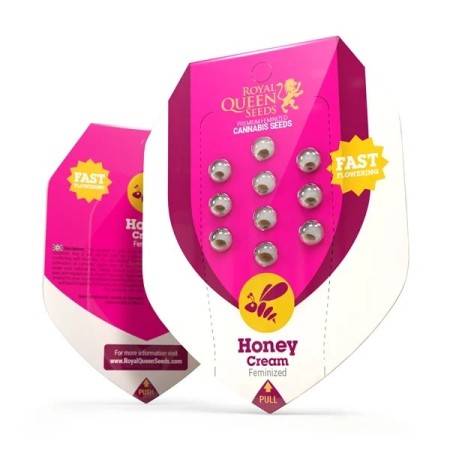 Honey Cream | Feminized  | Royal Queen Seeds