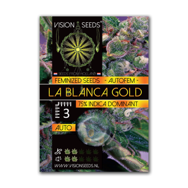 la Blanca Gold | Vision Seeds | Autoflower