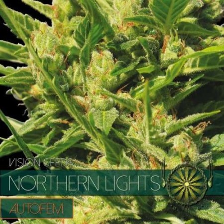 Northern Lights | Autoflower | Vision Seeds