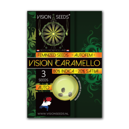 Vision Caramello | Autoflower | Vision Seeds