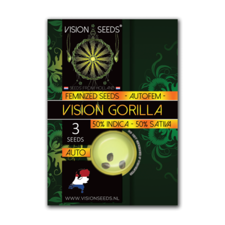 Vision Gorilla | Autoflower | Vision Seeds