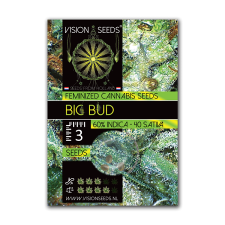 Big Bud | Feminized | Vision Seeds