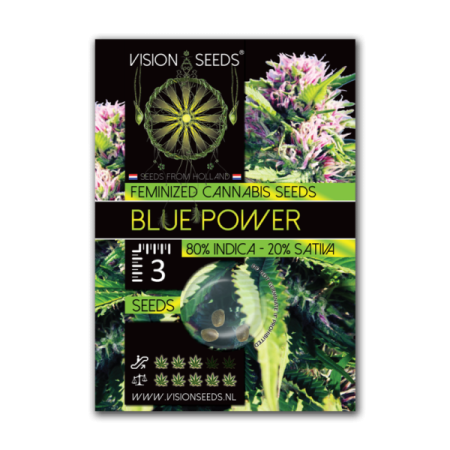 Blue Power | Feminized | Vision Seeds