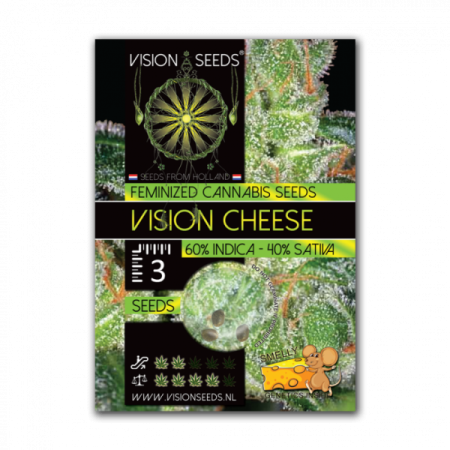 Cheese | Feminized | Vision Seeds