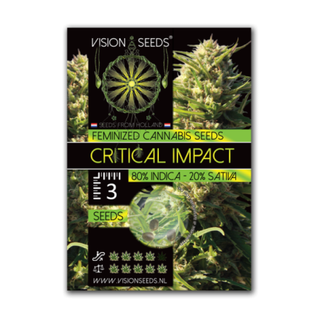 Critical Impact | Feminized | Vision Seeds