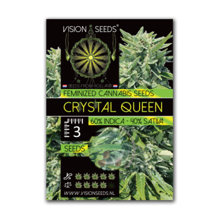 Crystal Queen | Feminized | Vision Seeds