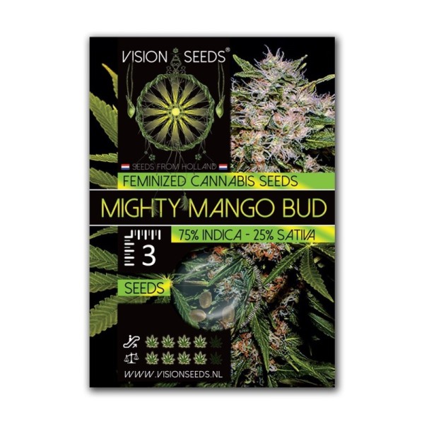 Mighty Mango Bud | Vision Seeds | Feminized