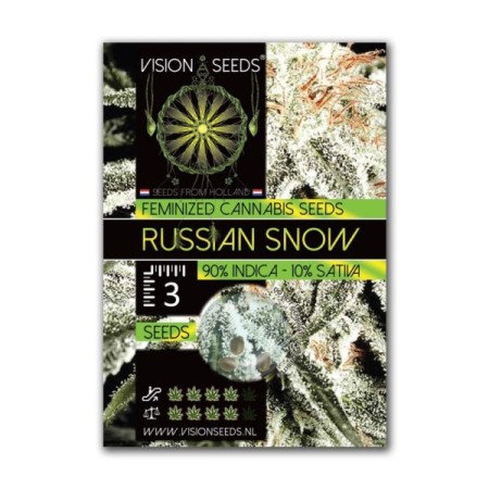 Russian Snow | Feminized | Vision Seeds