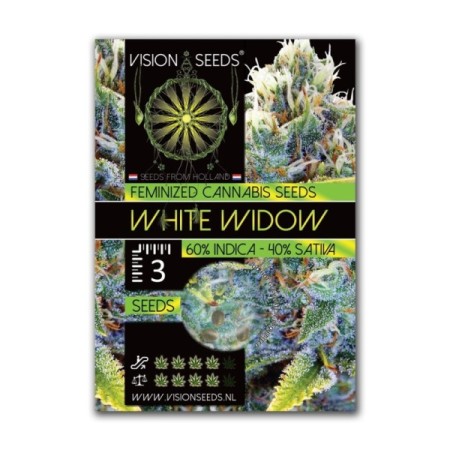 White Widow | Feminized | Vision Seeds