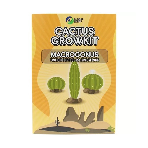 Macrogonus - trichocereus Macrogonus | Catcus Kweekkit