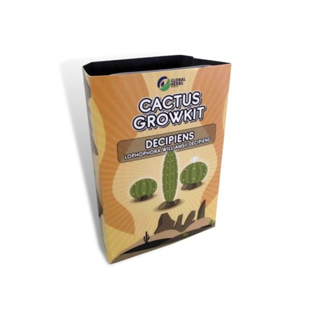 Decipiens - Lophophora Williamsii Decipiens | Cactus Kweekkit