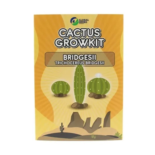 Bridgesii - Trichocereus Bridgesii | Catcus Kweekkit