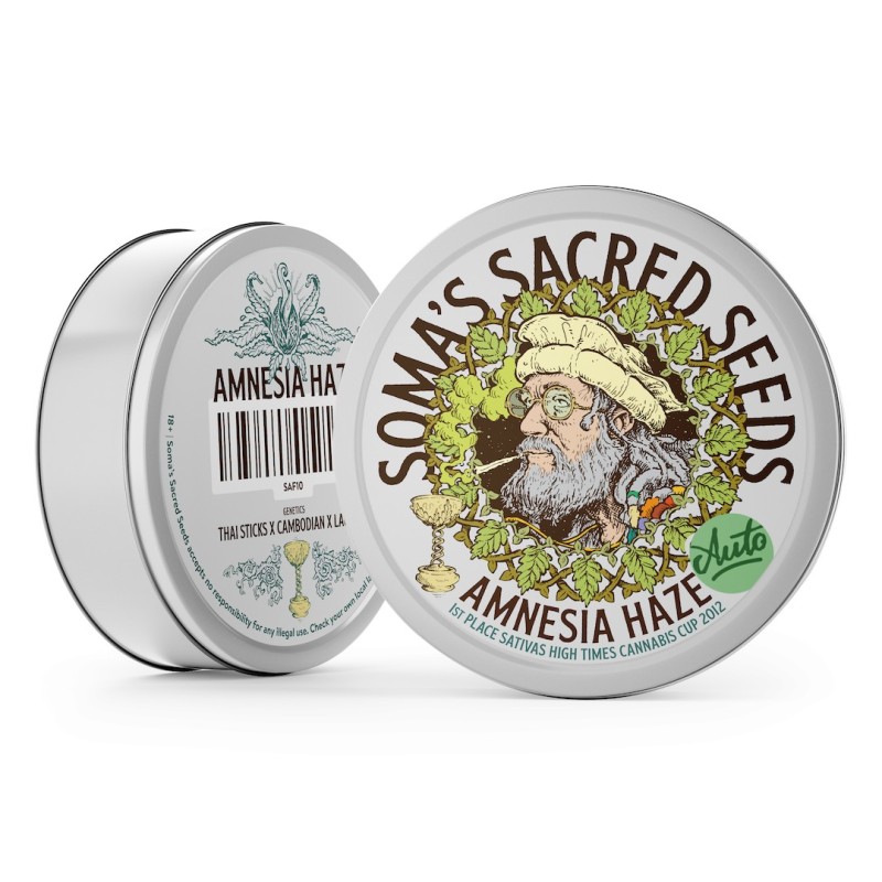 Amnesia Haze Autoflower | Soma Sacred Seeds