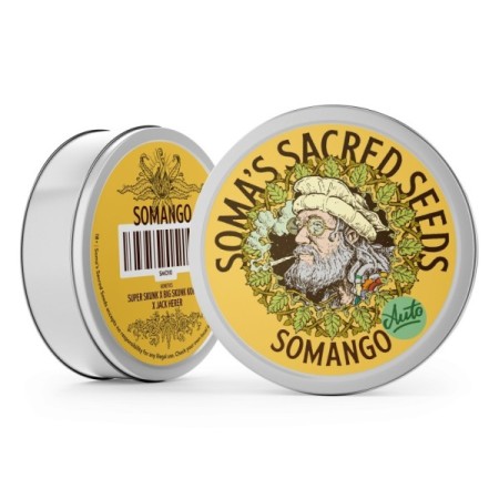 Somango Autoflower | Soma Sacred Seeds