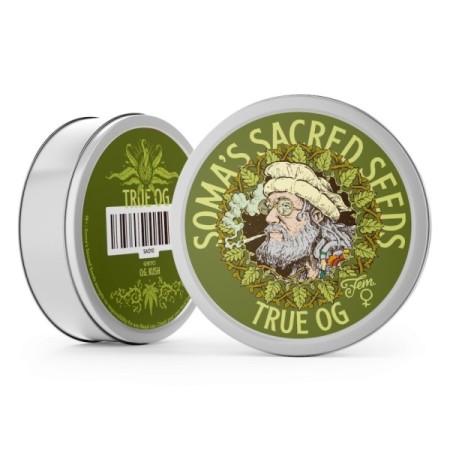 True OG Feminized | Soma Sacred Seeds
