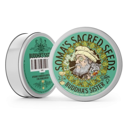 Buddha's Sister Feminized | Soma Sacred Seeds