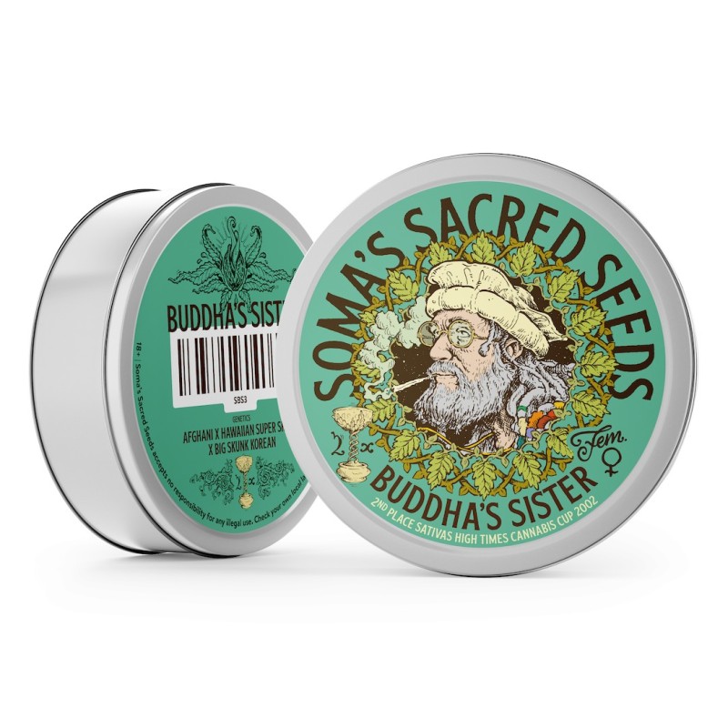 Buddha's Sister Feminized | Soma Sacred Seeds