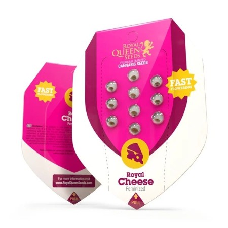 Royal Cheese | Feminized  | Royal Queen Seeds