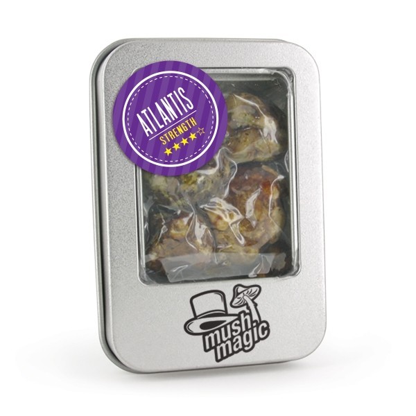 Atlantis Magic Truffels | 15 gr | Mush Magic