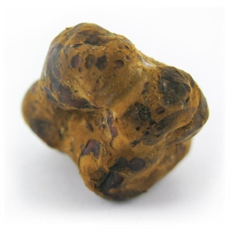 Mexicana Magic Truffels kopen | Mush Magic