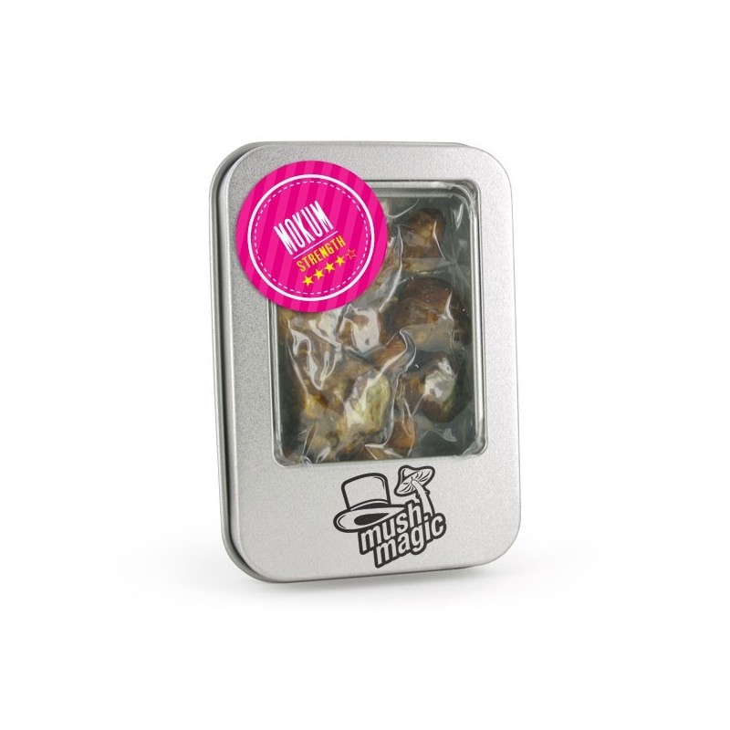 Mokum Magic Truffels bestellen |  Mush Magic