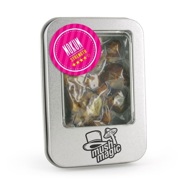 Mokum Magic Truffels | 15 gr | Mush Magic