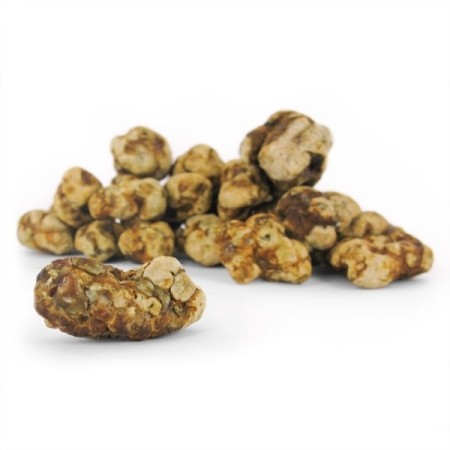 Mokum Magic Truffels bestellen |  Mush Magic