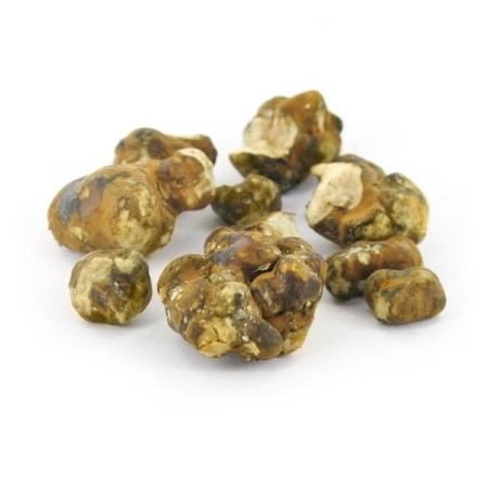 Mokum Magic Truffels bestellen |  Mush Magic
