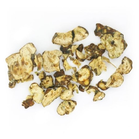 Pandora Magic Truffels kopen | Mush Magic