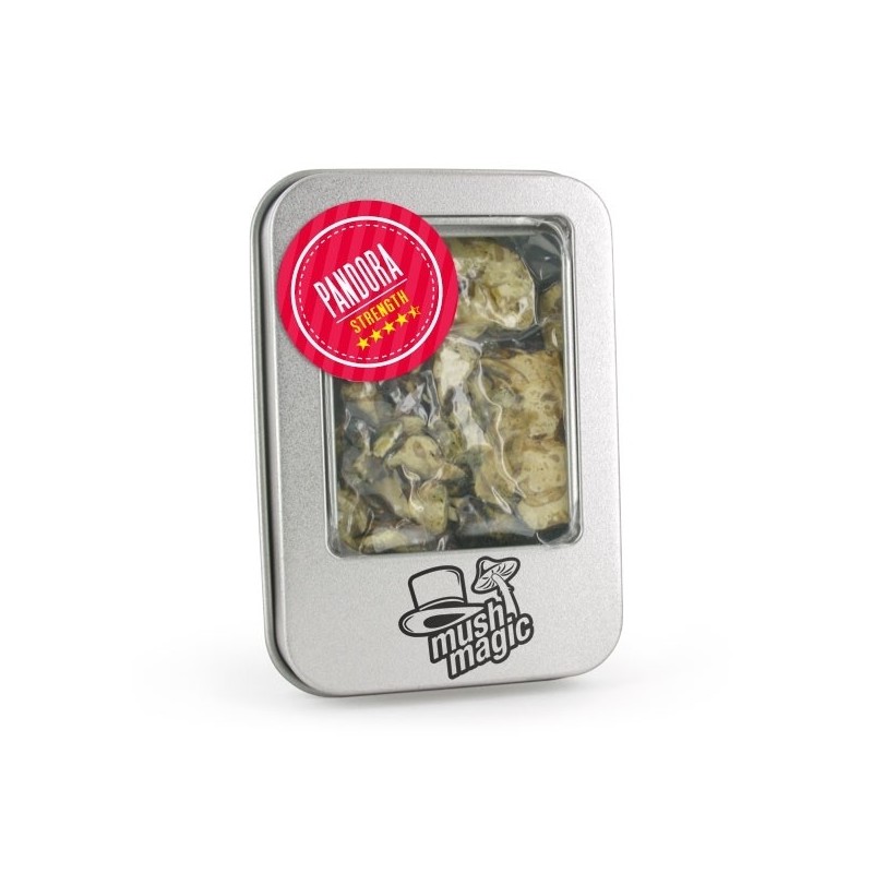 Pandora Magic Truffels kopen | Mush Magic